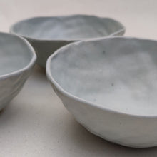 Load image into Gallery viewer, Pinched Eat All Bowls Soft Frost
