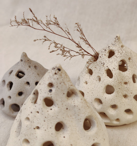 Seed Pods