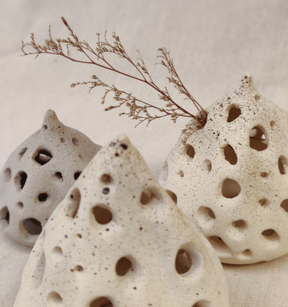 Seed Pods