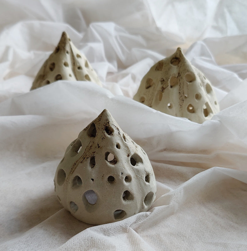 Seed Pods