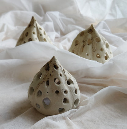 Seed Pods
